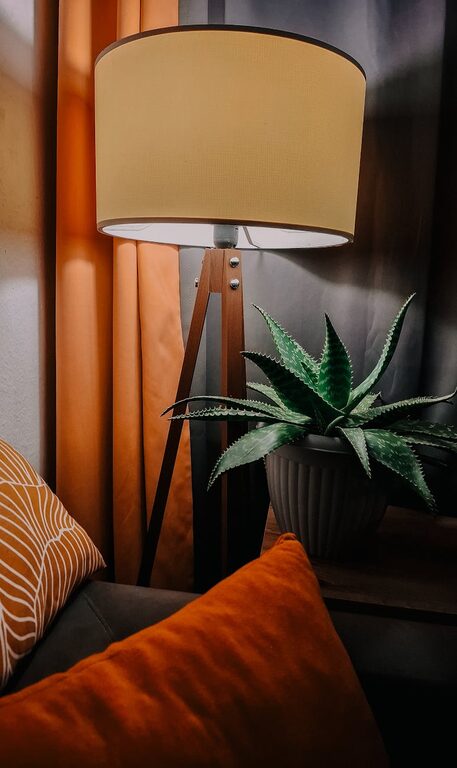 Top Tips for Creating a Cozy and Inviting Home Environment
